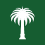 Palm USD