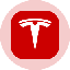Tesla Tokenized Stock (Ondo)